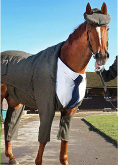 上海金慈實業有限公司，丙綸高強絲，丙綸色絲，丙綸中空絲，丙綸異形絲，丙綸夜光紗，高強丙綸絲，丙綸工業絲，丙綸熒光絲